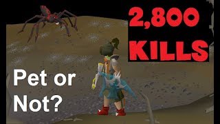 Loot from 2800 Venenatis Kills  Pet or Not OSRS [upl. by Kristine891]