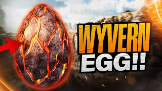 The BEST way to get wyvern eggs  Ark Survival Ascended [upl. by Nalloh]