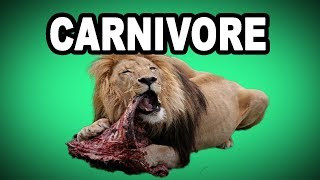 🍖 Learn English Words CARNIVORE  Meaning Vocabulary with Pictures and Examples [upl. by Adnerb]