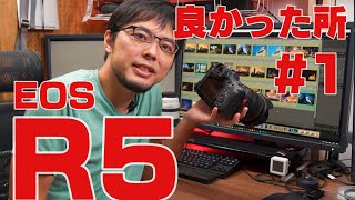 EOS R5レビュー！使ってみて良かったところ＃1（操作性、画質） EOS R5 review Overview operability image quality [upl. by Halyahs]