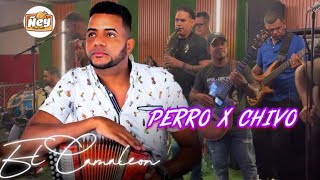 Ivan y The New Time  Perro x chivo [upl. by Arolf]