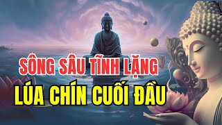 Sông Sâu Tĩnh Lặng  Lúa Chín Cuối Đầu Kể Chuyện Nhân Sinh [upl. by Annet]