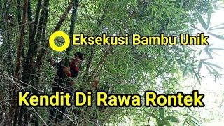 Eksekusi Bambu Unik Kendit Si Rawa Rontek [upl. by Terrilyn606]