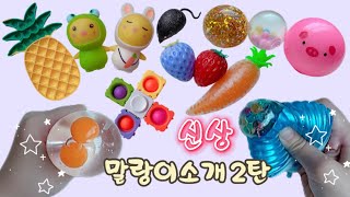 🎈신상 말랑이 소개 2탄🎵  가격도 알아보기⭐️  fidget toys  말랑이랑 [upl. by Alwitt]