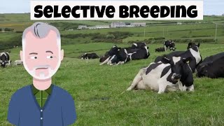 What is selective breeding [upl. by Riggins422]