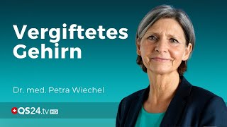 Vergiftetes Gehirn – Schwermetallbelastungen amp seine Folgen QS24 [upl. by Velma83]