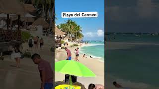 Playa del Carmen sin sargazo  Noviembre 232024 [upl. by Georas]