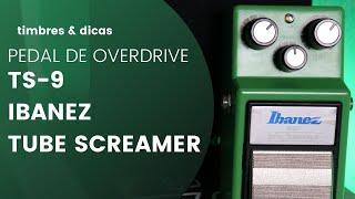 PEDAL DE OVERDRIVE TUBE SCREAMER TS9 TIMBRES E DICAS [upl. by Zednanreh]