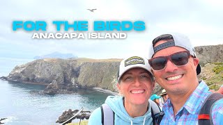 Day Trip to Anacapa Island  Channel Islands National Park [upl. by Llerahs]