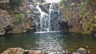 Madeira Rabacal Levada do Alecrim and Lagoa do Vento [upl. by Brien564]