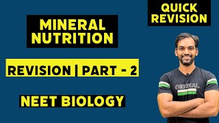 Mineral Nutrition class 11  Quick Revision  Target 360 Biology [upl. by Ballard949]