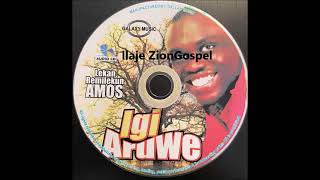 Evang Lekan Remilekun Amos Igi Aruwe Ilaje Gospel [upl. by Anival]