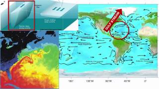 Surface Currents [upl. by Ariaes]