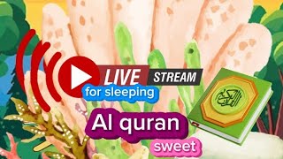 alquran the bestyoutube [upl. by Fogel840]