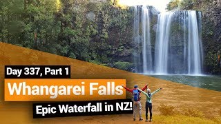 🗺️ Whangarei Falls MustSee Waterfall in New Zealand – New Zealands Biggest Gap Year [upl. by Naujik]