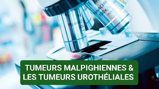 ANAPATHðŸ”¬ TUMEURS MALPIGHIENNESTUMEURS UROTHÃ‰LIALES  3ÃˆME MÃ‰DECINE âœ…âœ… [upl. by Nirehtak]