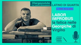 Virgilio Labor improbus [upl. by Naej55]