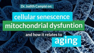 Judith Campisi PhD on Cellular Senescence Mitochondrial Dysfunction Cancer amp Aging [upl. by Lednahs727]