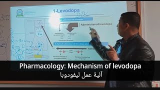 Mechanism of action of Levodopa آلية عمل ليفودوبا [upl. by Irtimid]