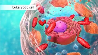 Cell structure 3D animation [upl. by Franciska]