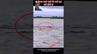 Hiran Nadi Mein tairti Hui funny fish love moj nature besties [upl. by Johnath77]