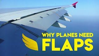 Why Do Planes Have Flaps  Fly Anatomy [upl. by Inger510]