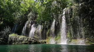 Sunete Albe  Sunet de Cascada si Ciripit de Pasari  Sunete Albe pentru Adormit sau Studiu [upl. by Amaj863]