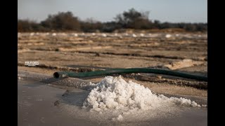 Asi Producen La Sal En Las Salinas Mpio De Copala Gro Mex [upl. by Kass]