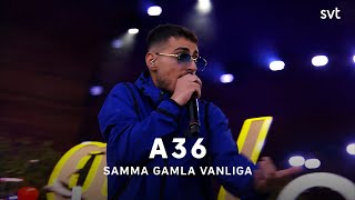 A36 – Samma gamla vanliga  Allsång på Skansen 2022  SVT [upl. by Philo]