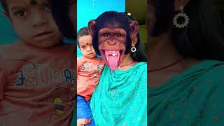 Bandar mama pahan pajama dawat khane aaye 🐒🐒virar [upl. by Guenzi]