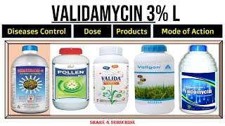 VALIDAMYCIN 3 L  Validamycin Fungicide  Uses  Dose  For which Diseases  Mode of Action । [upl. by Epner]