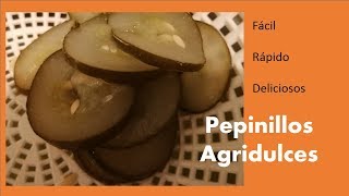 PEPINILLOS AGRIDULCES CÓMO HACER PEPINILLOS EN VINAGRE PEPINO ENCURTIDO [upl. by Anuaf595]