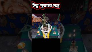 ইতু পূজার মন্ত্র। ইতু পূজা 2024। Itu Puja Mantra viral trending youtubeshorts [upl. by Aryamo]