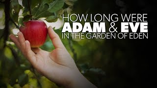 How Long Were Adam and Eve in the Garden of Eden  Creation Questions [upl. by Nnednarb]