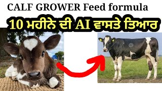 calf grower feed formula homemade feed [upl. by Karlene874]