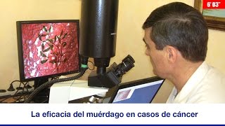 LA EFICACIA DEL MUÉRDAGO EN CASOS DE CÁNCER [upl. by Maurice]