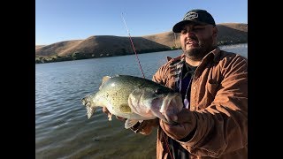 SHORE FISHING LOS BANOS CREEK RESERVOIR SWIMBAIT EXTRAVAGANZA GOPRO [upl. by Coleman838]