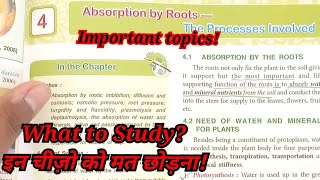 Icse class 10 absorption of roots process involved explained  tips and tricks for biology ch4 [upl. by Mellette]