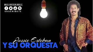 Jossie Esteban Y Su Orquesta  El Tigueron [upl. by Aihseit]