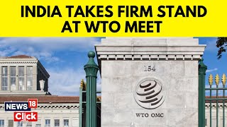 India Raises Voice Against Narrowing Down WTO Meet Focus To AgriExporting Nations Interest  N18V [upl. by Donelu]