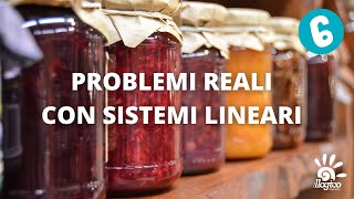 Problemi reali con sistemi lineari  6 [upl. by Hadlee]