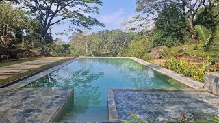 February morning starts off great 👍 GlenMyu Estate Hotel Beragala Sri Lanka 🇱🇰 [upl. by Eigla]