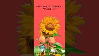 Bunga Matahari Upin amp ipin upinipin upinipinandthegeng viral [upl. by Shreeves]