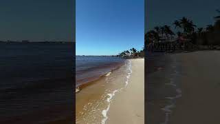 Post Hurricane Milton Cape Coral Yacht Club and The Boathouse tiki milton hurricane florida [upl. by Nirat]