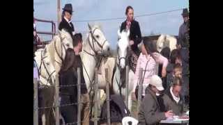 Concour equestre Camargue aux Mas DEstanion 2014 [upl. by Cindie562]