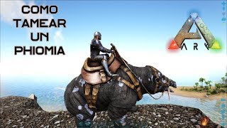 Como tamear un Phiomia de manera fácil y rápida En Ark Survival Evolved [upl. by Dorr643]