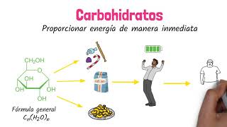 Carbohidratos Biomoléculas [upl. by Sone277]