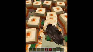 Can Villager Escaped by tnt  minecraft minecratf minecraftshorts [upl. by Yetah]