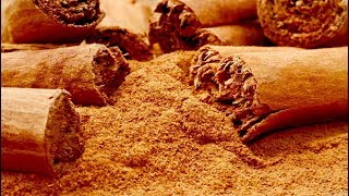 Top 6 Health Benefits Ceylon Cinnamon [upl. by Lerrud269]