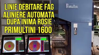 Linie debitare busteni fag Primultini 1600 cu aliniere dupa inima rosie [upl. by Noterb293]